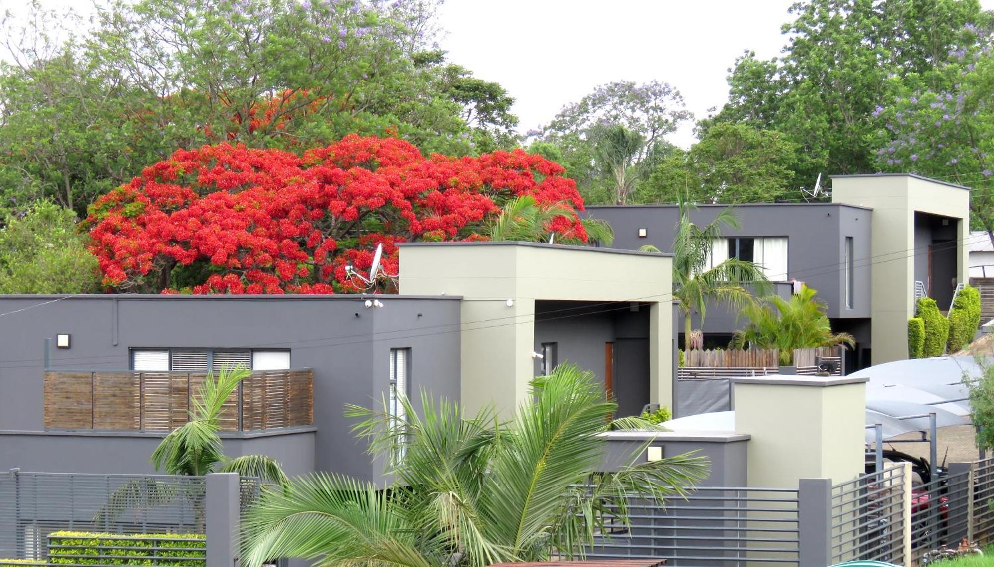 The Executive - Exclusive Self-Catering Apartments - Ezulwini Exterior photo